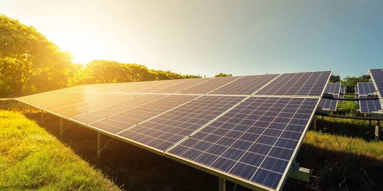 Solar panel field in sunlight